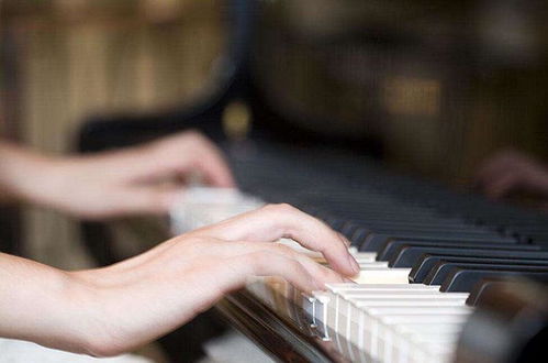 招生1對1免費預(yù)約鋼琴試聽課